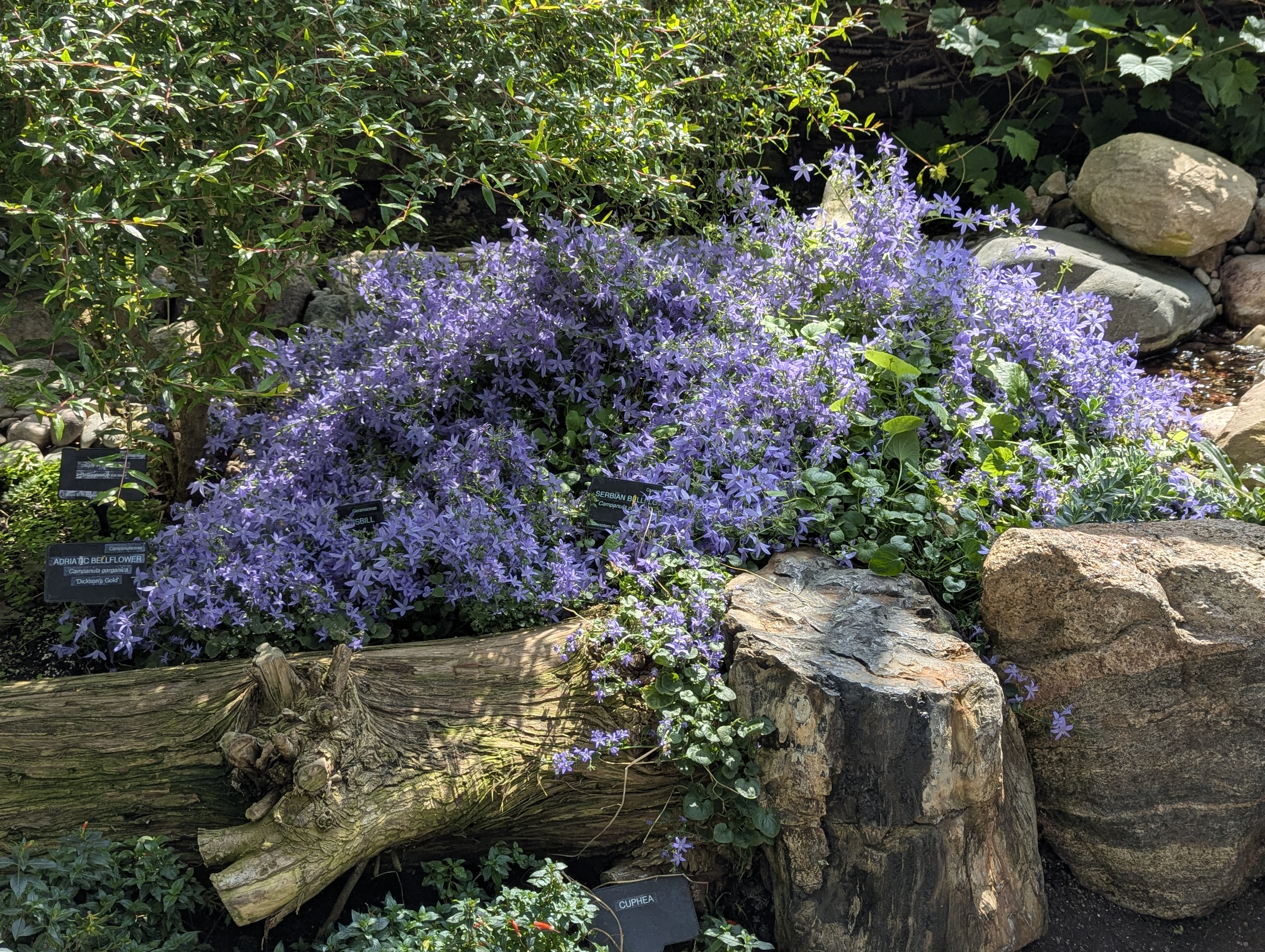 Birthday Trip to Canada, Edmonton, Pyramids, Muttart Observatory